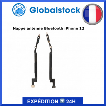 Nappe antenne Bluetooth pour iPhone 12