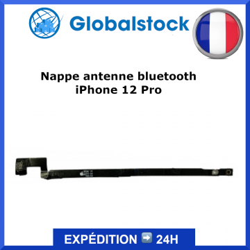Nappe antenne bluetooth pour iPhone 12 Pro