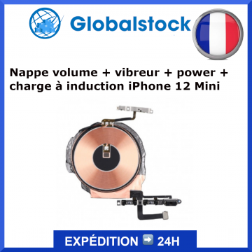 Nappe volume + vibreur + power + charge à induction pour iPhone 12 Mini