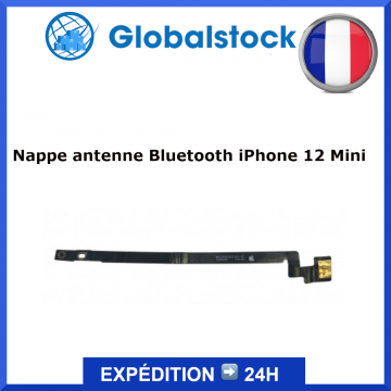 Nappe antenne bluetooth pour  iPhone 12 Mini