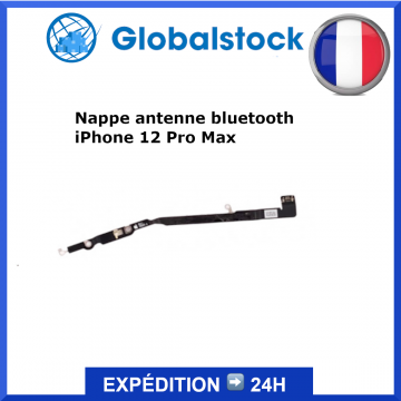 Nappe antenne bluetooth pour iPhone 12 Pro Max