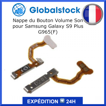 Nappe du Bouton Volume Son pour Samsung Galaxy S9 Plus G965(F)