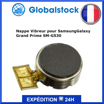 Nappe Vibreur pour Samsung Galaxy Grand Prime SM-G530
