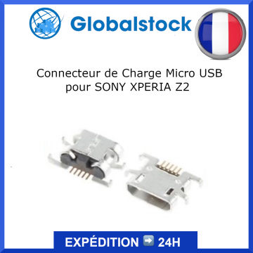 Connecteur de Charge Micro USB pour SONY XPERIA Z2