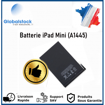 Batterie interne pour iPad Mini (A1445) + Outils