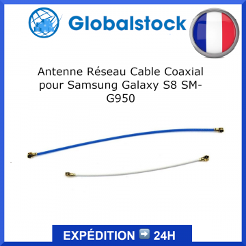 Antenne Réseau Cable Coaxial pour Samsung Galaxy S8 SM-G950