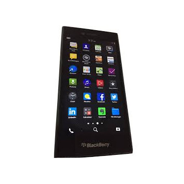 Blackberry Leap-16Go-Gris