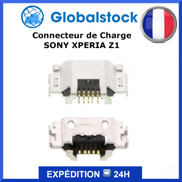 Connecteur de Charge Micro USB pour SONY XPERIA Z1