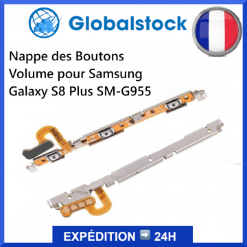 Nappe des Boutons Volume pour Samsung Galaxy S8 Plus SM-G955