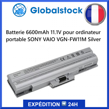 Batterie 6600mAh 11.1V pour ordinateur portable SONY VAIO VGN-FW11M Silver