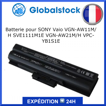 Batterie pour SONY Vaio VGN-AW11M/H SVE1111M1E VGN-AW21M/H VPC-YB1S1E