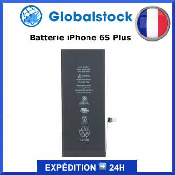 Batterie pour iPhone 6S Plus
