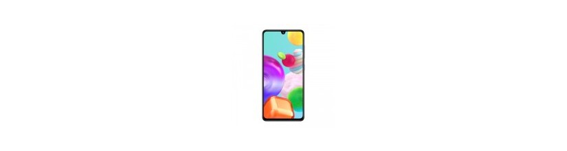 pièces détachées pour Samsung Galaxy A41 (A415F)