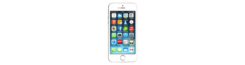 pièces détachées pour iPhone 5S