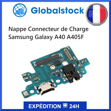 Nappe Connecteur de Charge...