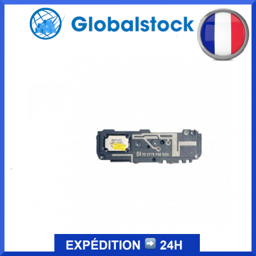 Module haut-parleur pour...